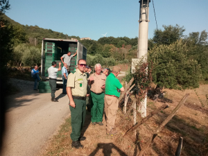 Ripopolamento fauna selvatica, liberati migliaia di fagiani e centinaia di starne a sud di Salerno e nel Vallo di Diano