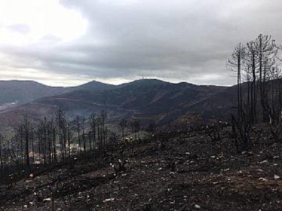 Arresti per gli incendi in Lucchesia: la Regione applaude l’Arma