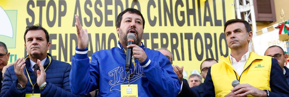 Salvini contro i cinghiali: «Bisogna abbattere quello che la natura vuole che torni nei propri spazi»