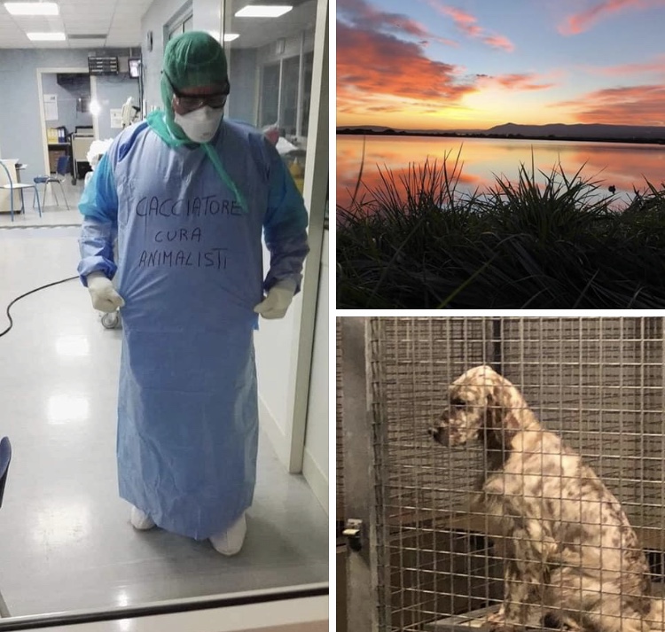 Il post che fa discutere di Casanova (Lega): cani da caccia relegati nei box e “medico cacciatore” che cura gli animalisti