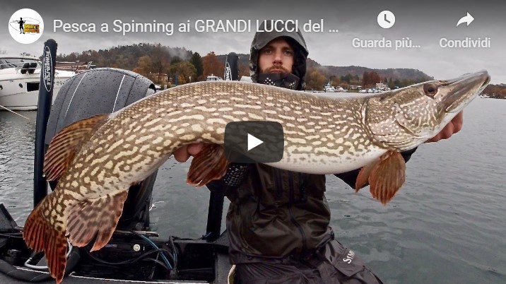 Pesca a Spinning ai grandi Lucci del Lago Maggiore