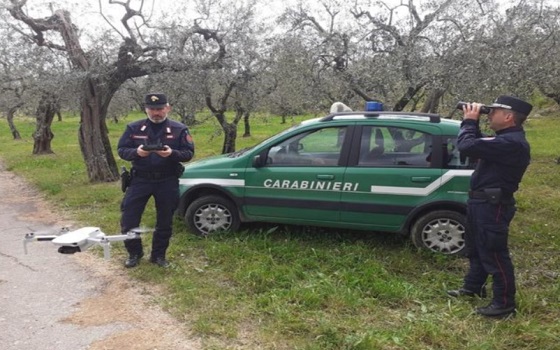 Caccia alla pantera nel Beneventano