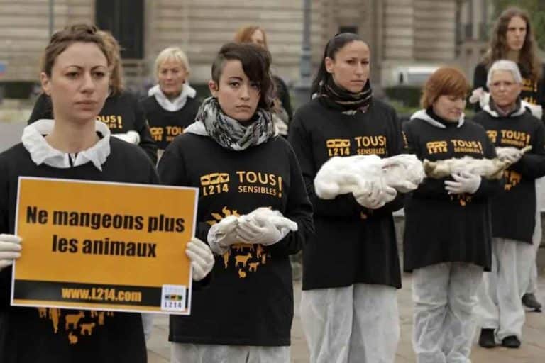 Anche in Francia alcune associazioni animalare sono felici di ciò che sta accadendo in questo momento…