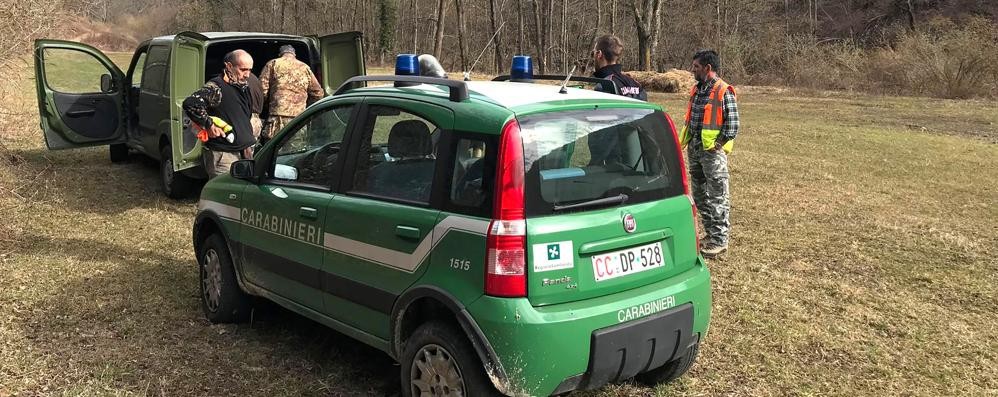 Caccia al lupo tra Lipomo e Drezzo Mobilitati i carabinieri forestali