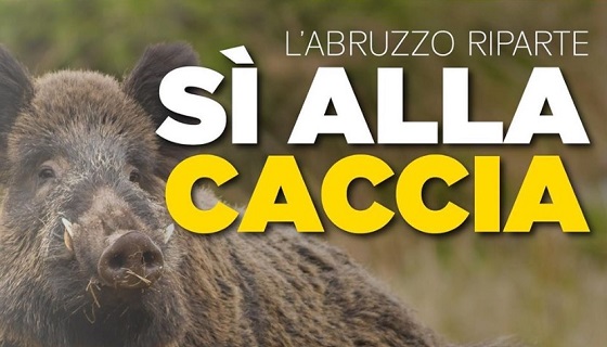 Caccia di selezione, Atc Chietino-Lancianese da record si caccia…