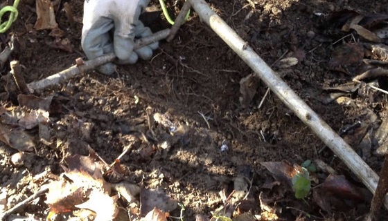 Nel bosco trovano filo collegato ad un fucile: bracconiere stangato