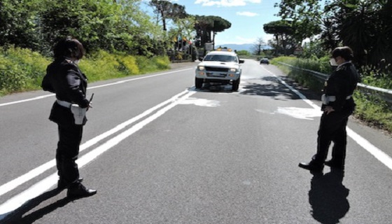 Velletri: Investe una famiglia di cinghiali sull’Appia Nuova