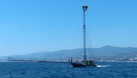 Caccia al Pescespada sullo Stretto: si torna in mare, le “Poste” come nel 2019