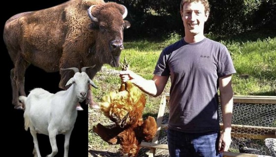 Mr. Facebook è un cacciatore gli animalari si guardano bene a non attaccarlo…