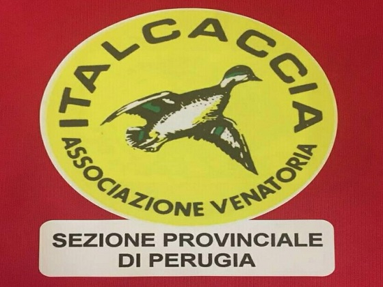 ItalCaccia Sezione Provinciale Perugia