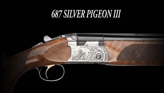 SILVER PIGEON III