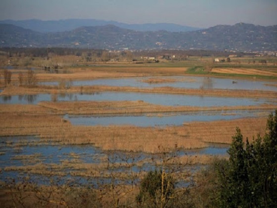 Toscana: Padule, approvato il nuovo regolamento. Respinto l’emendamento che chiedeva la sospensione dell’attività per la nebbia