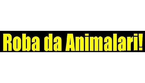 Animalisti a caccia di… cacciatori a Saronno e nel Comasco, ma non ne trovano