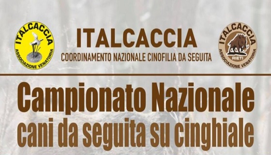 Campionato nazionale ItalCaccia 2021 per cani da seguita su cinghiale