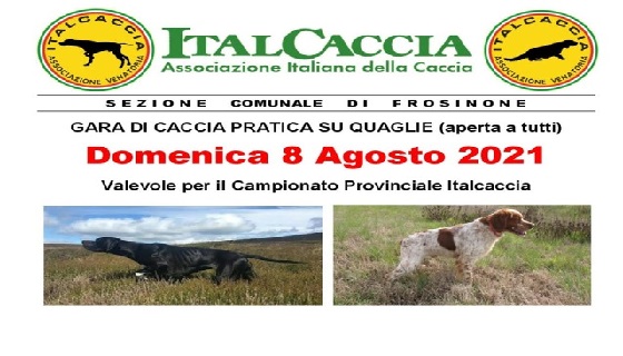 Sezione Comunale di Frosinone Domenica 8 Agosto 2021 organizza “Gara di Caccia pratica su Quaglie”