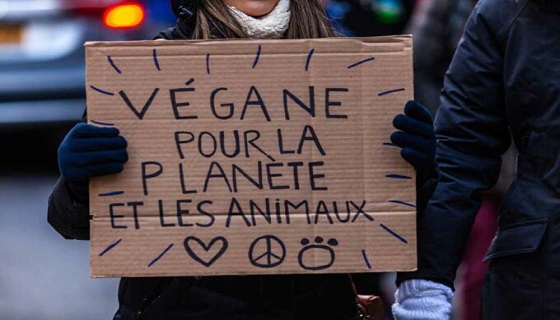 Francia: Le associazioni animaliste finanziano con denaro contante i movimenti anti-caccia!