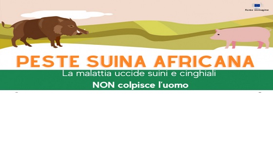 “Non vogliamo che Piemonte e Liguria siano ghettizzate, l’obiettivo è eradicare la peste suina africana”