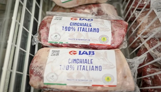 Lombardia: I cinghiali di troppo abbattuti? Ora finiscono nei supermercati