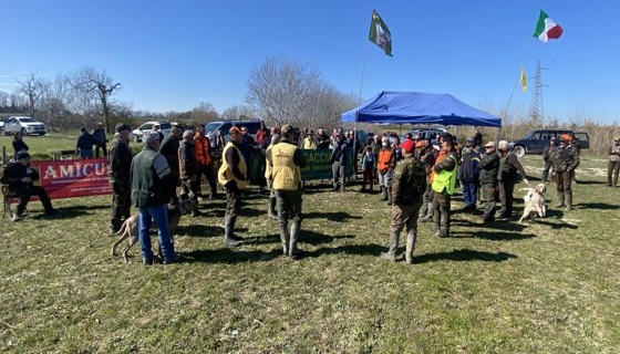 100 cani in gara a Villanova di Cepagatti