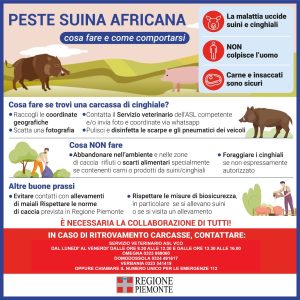 peste-suina-cosa-fare-personalizzato-asl-vco-300x300-2 “Non vogliamo che Piemonte e Liguria siano ghettizzate, l'obiettivo è eradicare la peste suina africana”