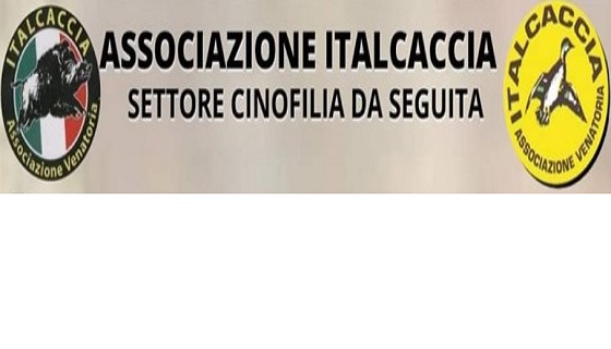 Campionato Federale 2022 cani da seguita su cinghiale Panicale (PG) 18 e 19 Giugno 2022