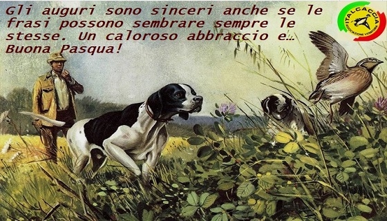 Gli auguri sono sinceri anche se le frasi possono sembrare sempre le stesse. Un caloroso abbraccio e… Buona Pasqua!