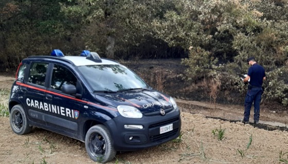 Abbatte un capriolo e scambia la fascetta d’identificazione, denunciato un guardia caccia