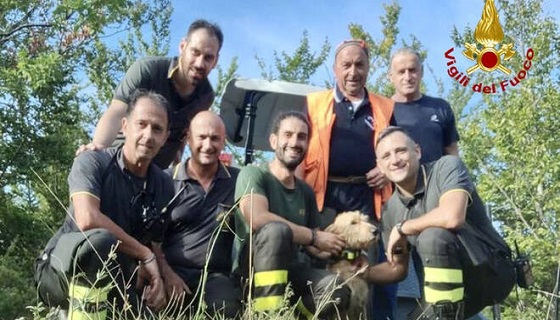 Cane da caccia scivola in un canalone per 20 metri, salvato dai vigili del fuoco