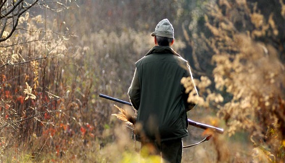 Veneto: Il Consiglio di stato si piega a pressioni indebite animalisti anti-caccia