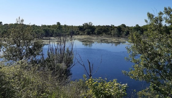 Verucchio vieta la caccia lungo la ciclabile e nell’area naturalistica sul Marecchia