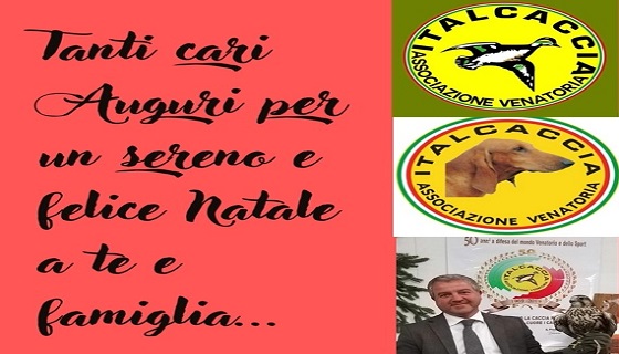 Tanti cari Auguri per un sereno e felice Natale