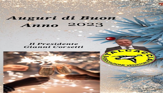 Auguri di Buon Anno 2023