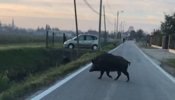 Firenze: decine di incidenti, anche mortali. L’elenco delle strade più a rischio