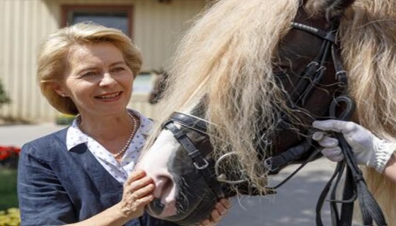 Riapre la caccia al lupo che uccise il pony di Ursula von der Leyen