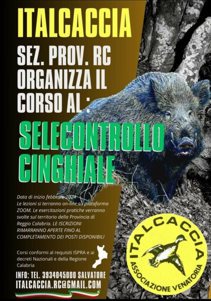 WhatsApp-Image-2024-02-13-at-22.33.20-718x1024 Febbraio 2024 Italcaccia sez. Prov. RC organizza corso di Selecontrollo cinghiale