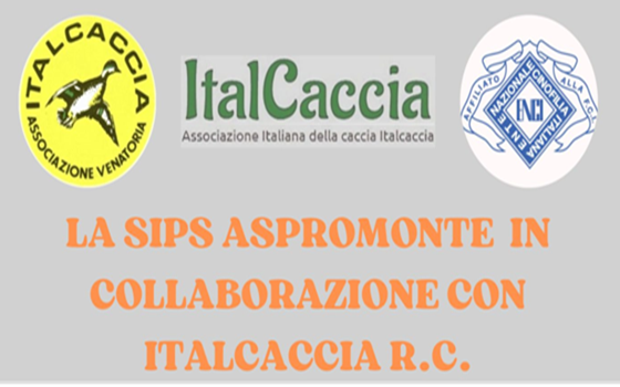 SIPS Aspromonte e Italcaccia RC organizza abilitazione per brevetto cane limiere