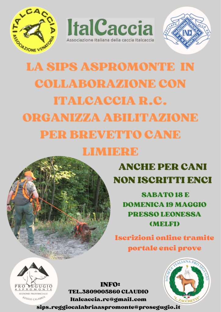 WhatsApp-Image-2024-05-16-at-12.48.23-724x1024 SIPS Aspromonte e Italcaccia RC organizza abilitazione per brevetto cane limiere