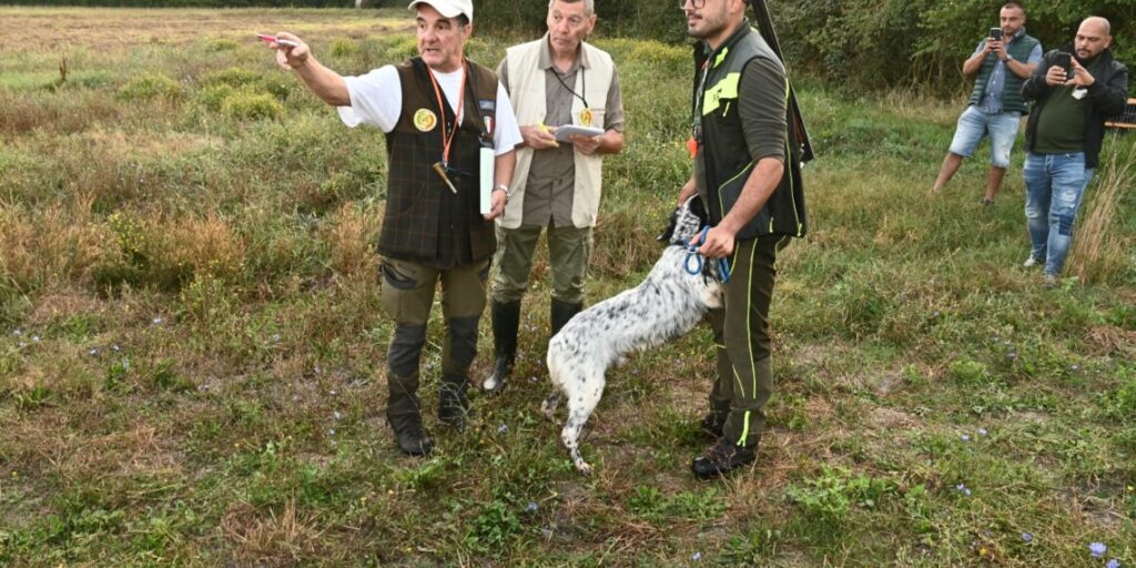 Foto-1-1140x570-1-1024x512 Ospitato in Molise il 9°campionato italiano Italcaccia per cani da ferma