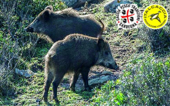 Giornata storica per la Sardegna…!!!