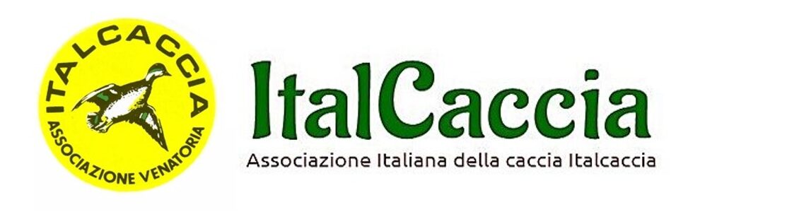 ItalCaccia