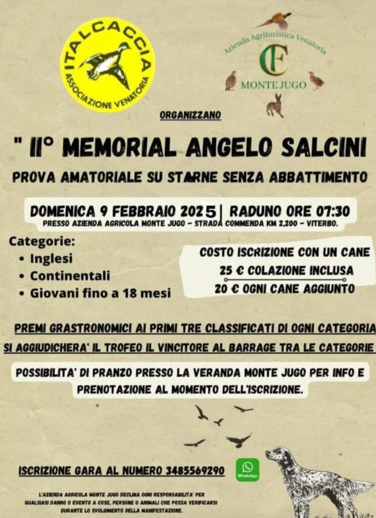 WhatsApp-Image-2025-01-21-at-07.56.36-744x1024 2° Memorial Angelo Salcini prova amatoriale su starne senza abbattimento, domenica 19 Febbraio 2025